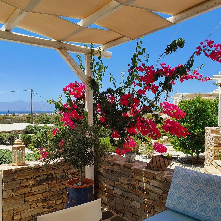 Casa Brad Βίλα Agios Arsenios Εξωτερικό φωτογραφία